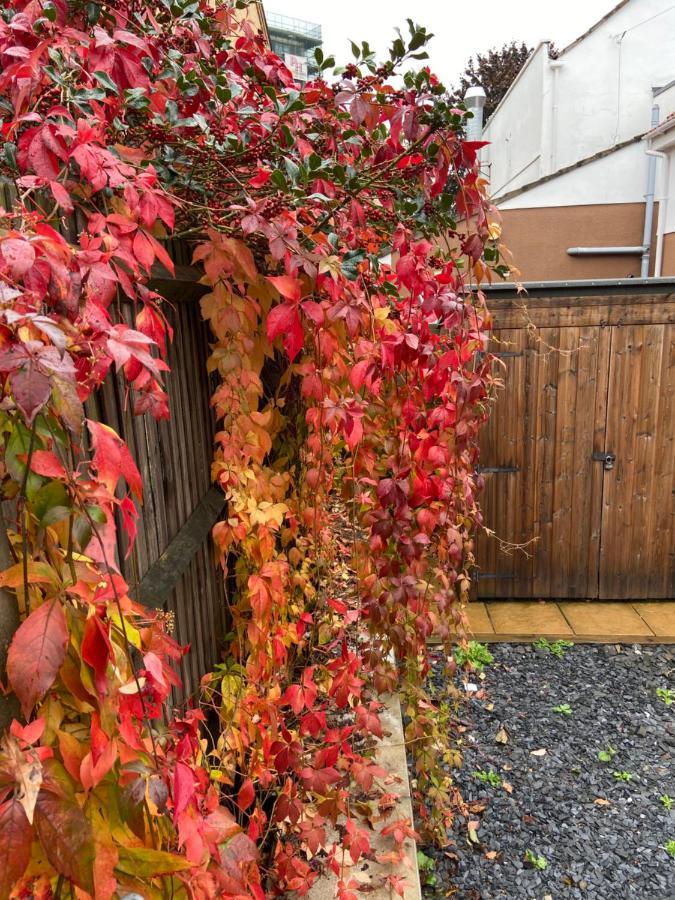 The Ashton Gate Mews Hotel บริสตอล ภายนอก รูปภาพ